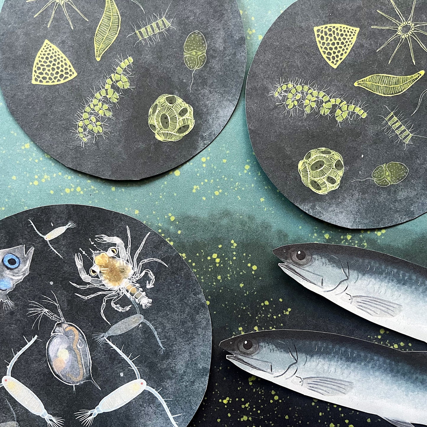 Your Perfectly Planned Ocean Afternoon: Spring Phytoplankton Bloom