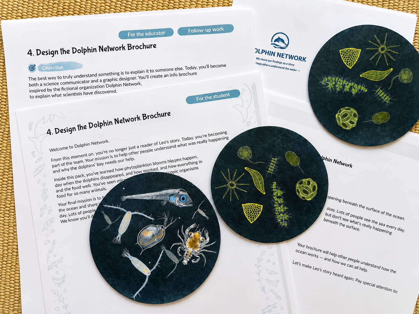 Your Perfectly Planned Ocean Activity: Spring Phytoplankton Bloom Ages 9-14