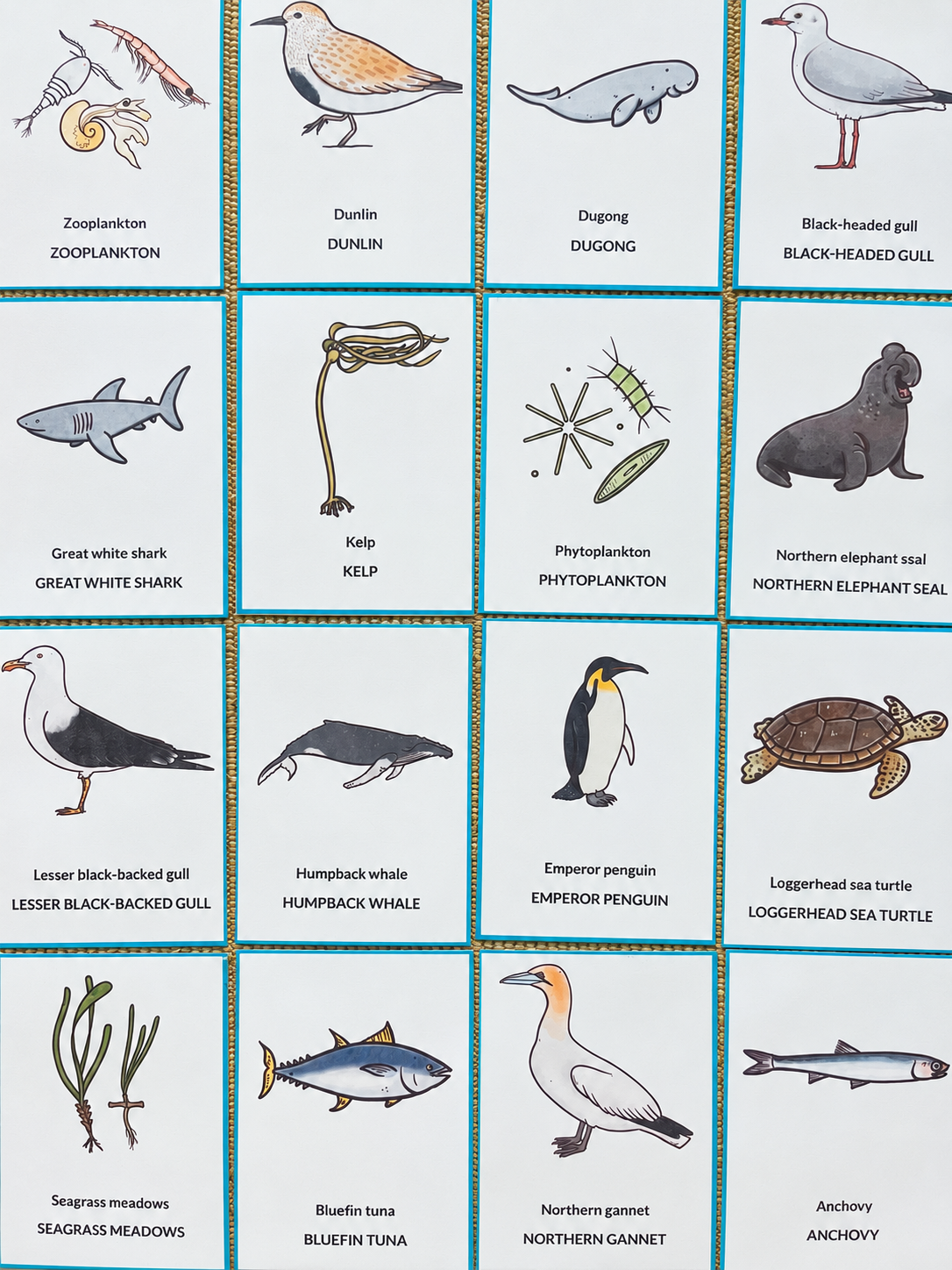 The Ocean in Autumn: Bilingual Mini-Study for Ages 3–8