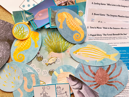 Perfectly Planned Kid´s Afternoon: Seagrass Study