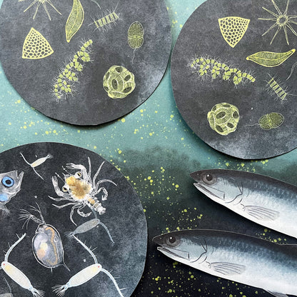 Your Perfectly Planned Ocean Afternoon: Spring Phytoplankton Bloom