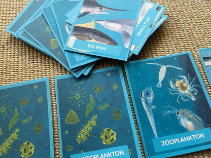 Your Perfectly Planned Ocean Afternoon: Spring Phytoplankton Bloom