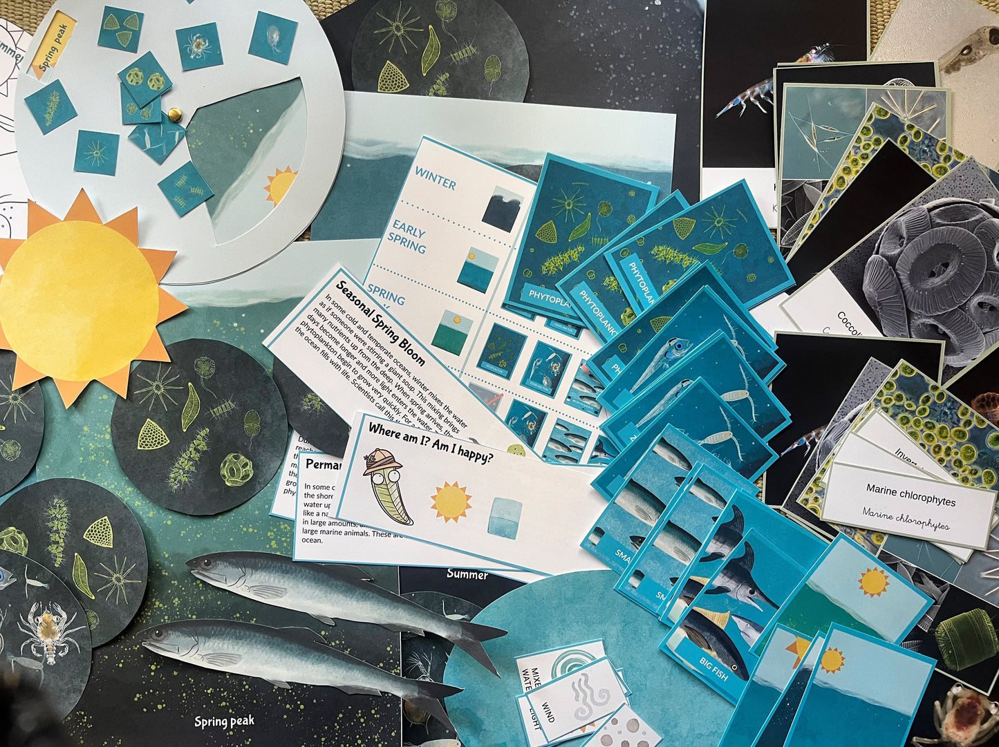 Your Perfectly Planned Ocean Afternoon: Spring Phytoplankton Bloom