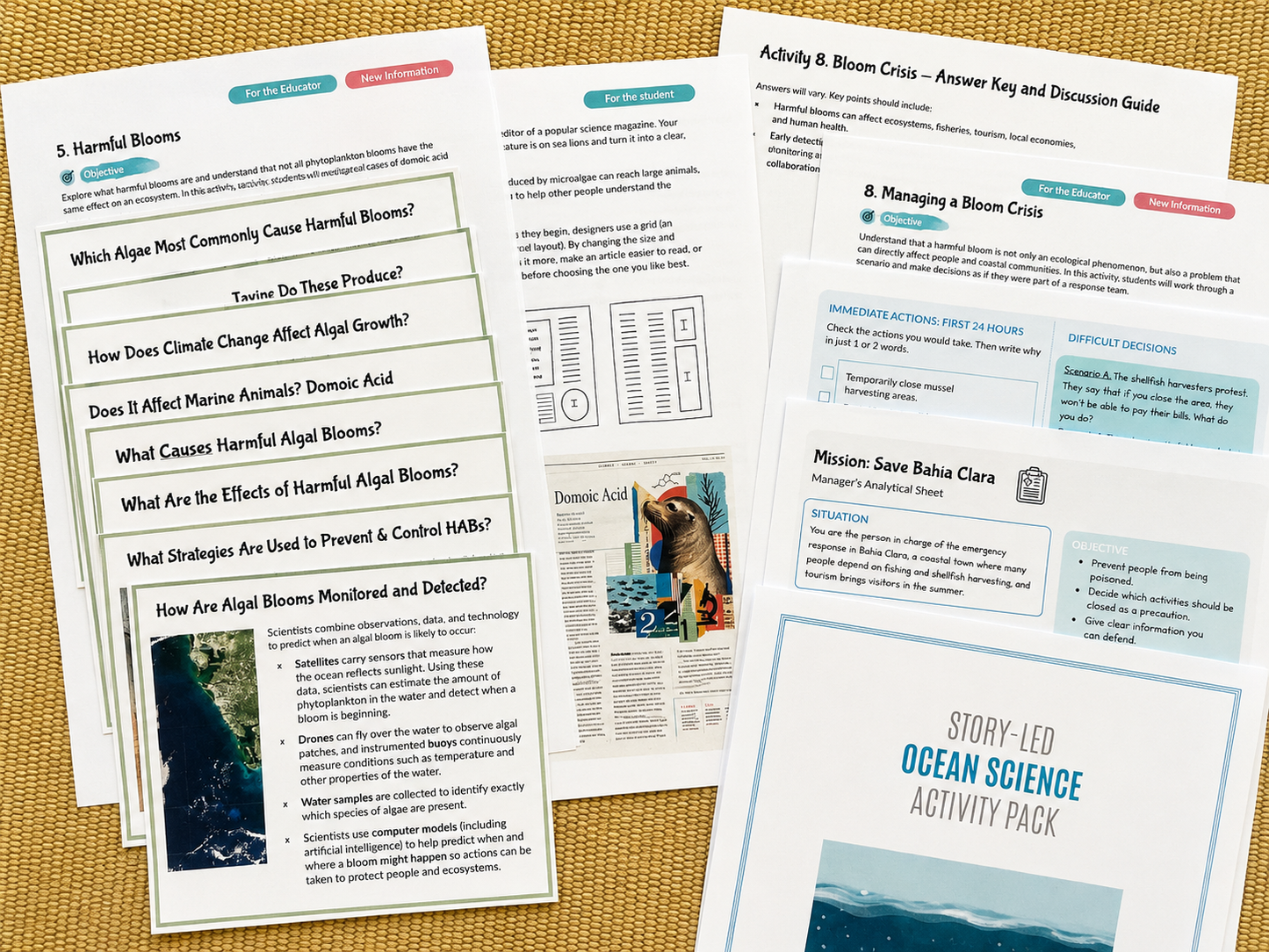 Your Perfectly Planned Ocean Activity: Spring Phytoplankton Bloom Ages 9-14