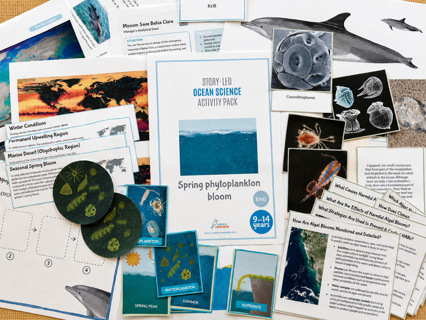 Your Perfectly Planned Ocean Activity: Spring Phytoplankton Bloom Ages 9-14
