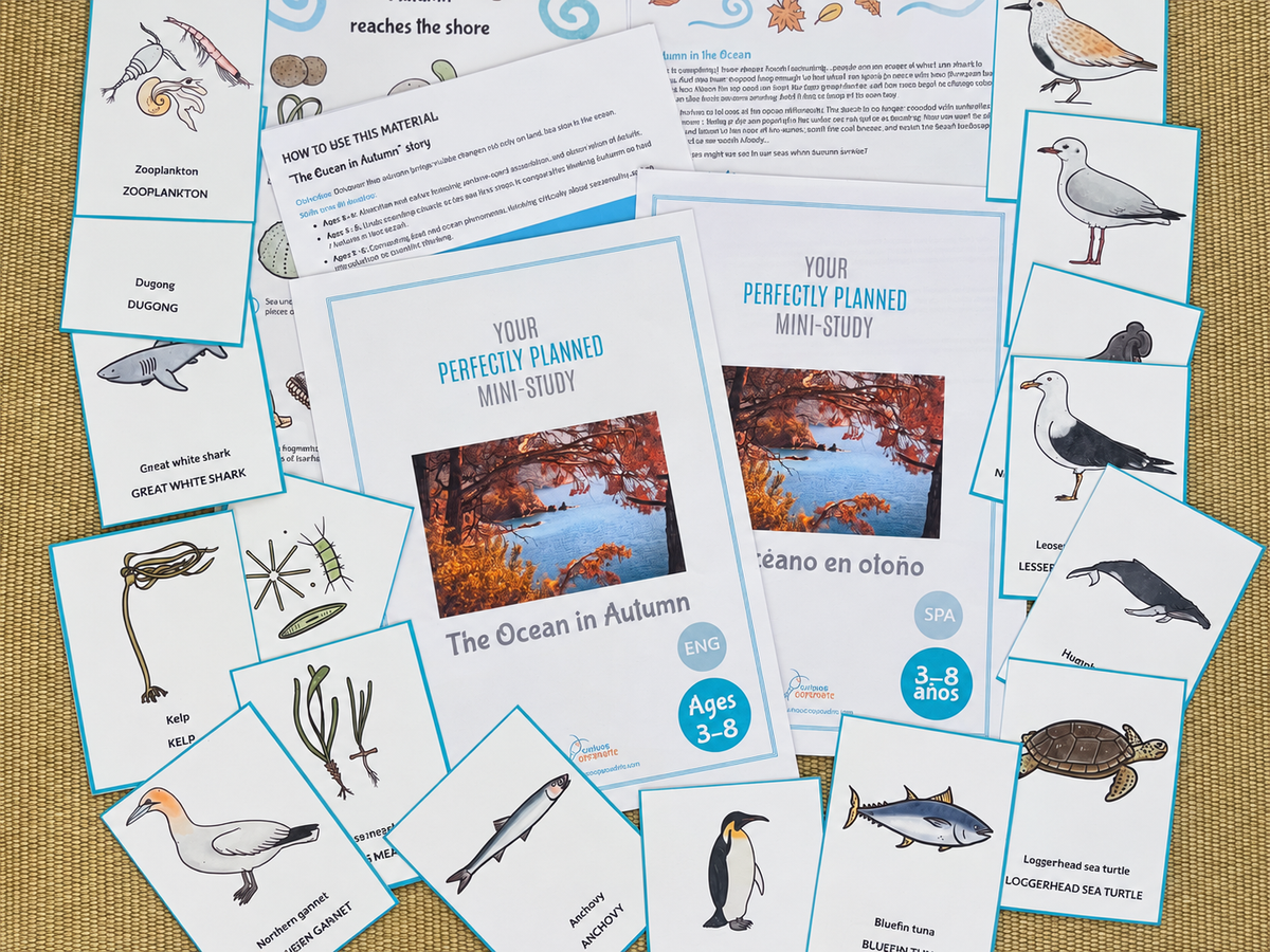 The Ocean in Autumn: Bilingual Mini-Study for Ages 3–8