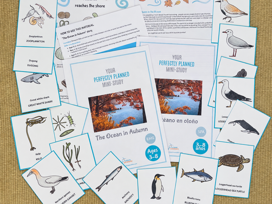 The Ocean in Autumn: Bilingual Mini-Study for Ages 3–8