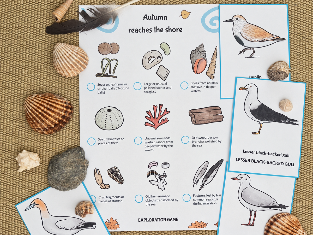 The Ocean in Autumn: Bilingual Mini-Study for Ages 3–8
