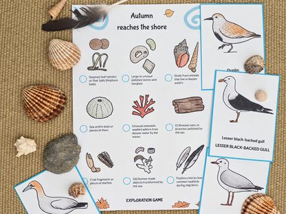 The Ocean in Autumn: Bilingual Mini-Study for Ages 3–8