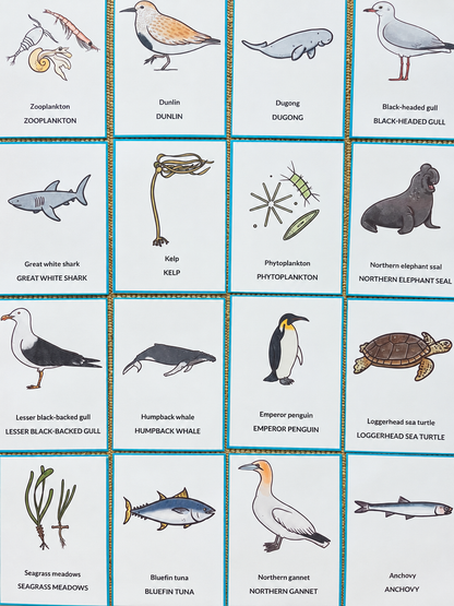 The Ocean in Autumn: Bilingual Mini-Study for Ages 3–8
