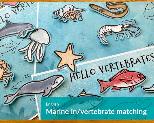 Marine Vertebrates vs. Invertebrates: Sorting Game