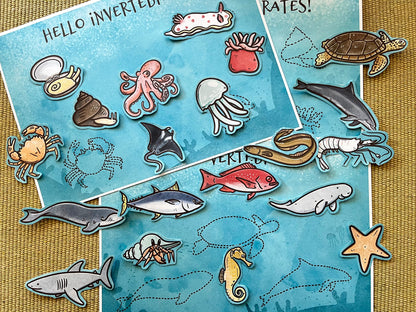 Marine Vertebrates vs. Invertebrates: Sorting Game