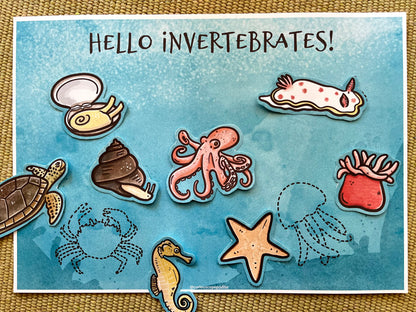 Marine Vertebrates vs. Invertebrates: Sorting Game