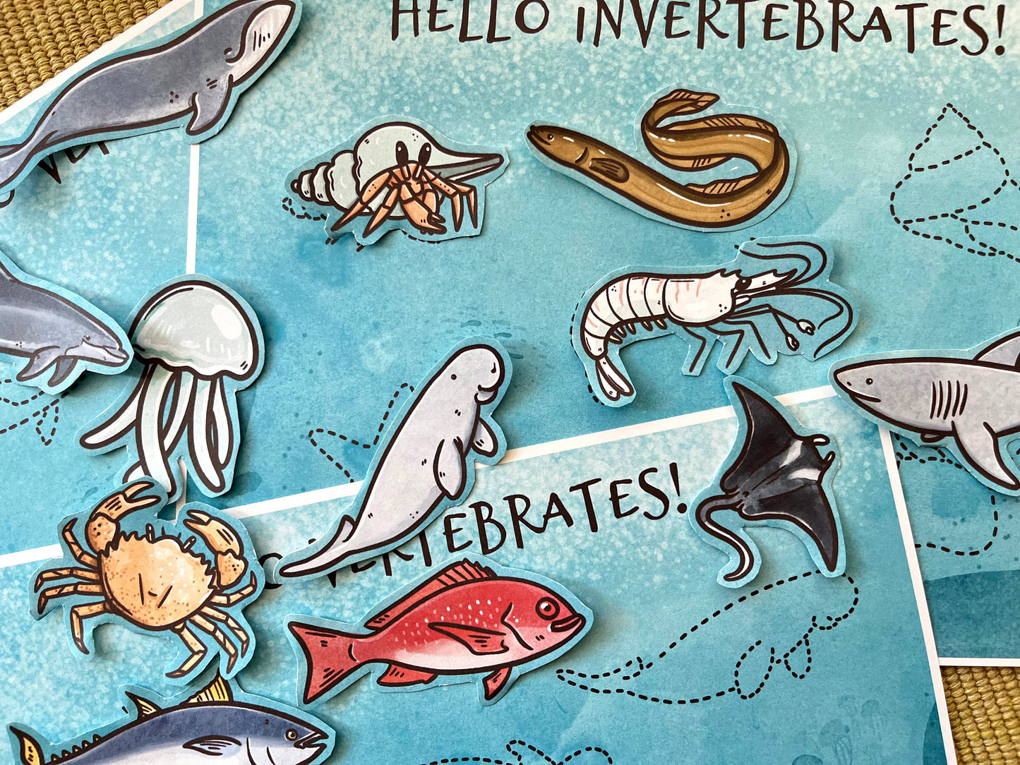 Marine Vertebrates vs. Invertebrates: Sorting Game