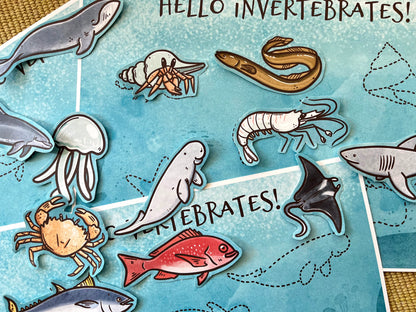Marine Vertebrates vs. Invertebrates: Sorting Game