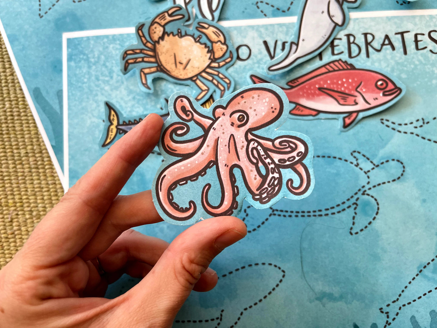 Marine Vertebrates vs. Invertebrates: Sorting Game