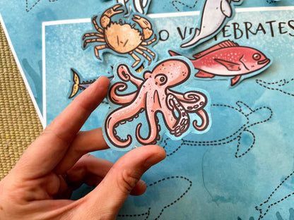 Marine Vertebrates vs. Invertebrates: Sorting Game