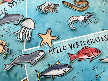 Marine Vertebrates vs. Invertebrates: Sorting Game