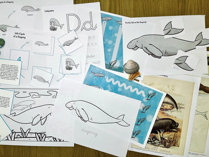 Dugong Life Cycle Bilingual Study