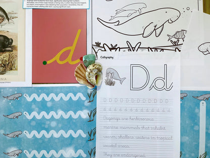 Dugong Life Cycle Bilingual Study