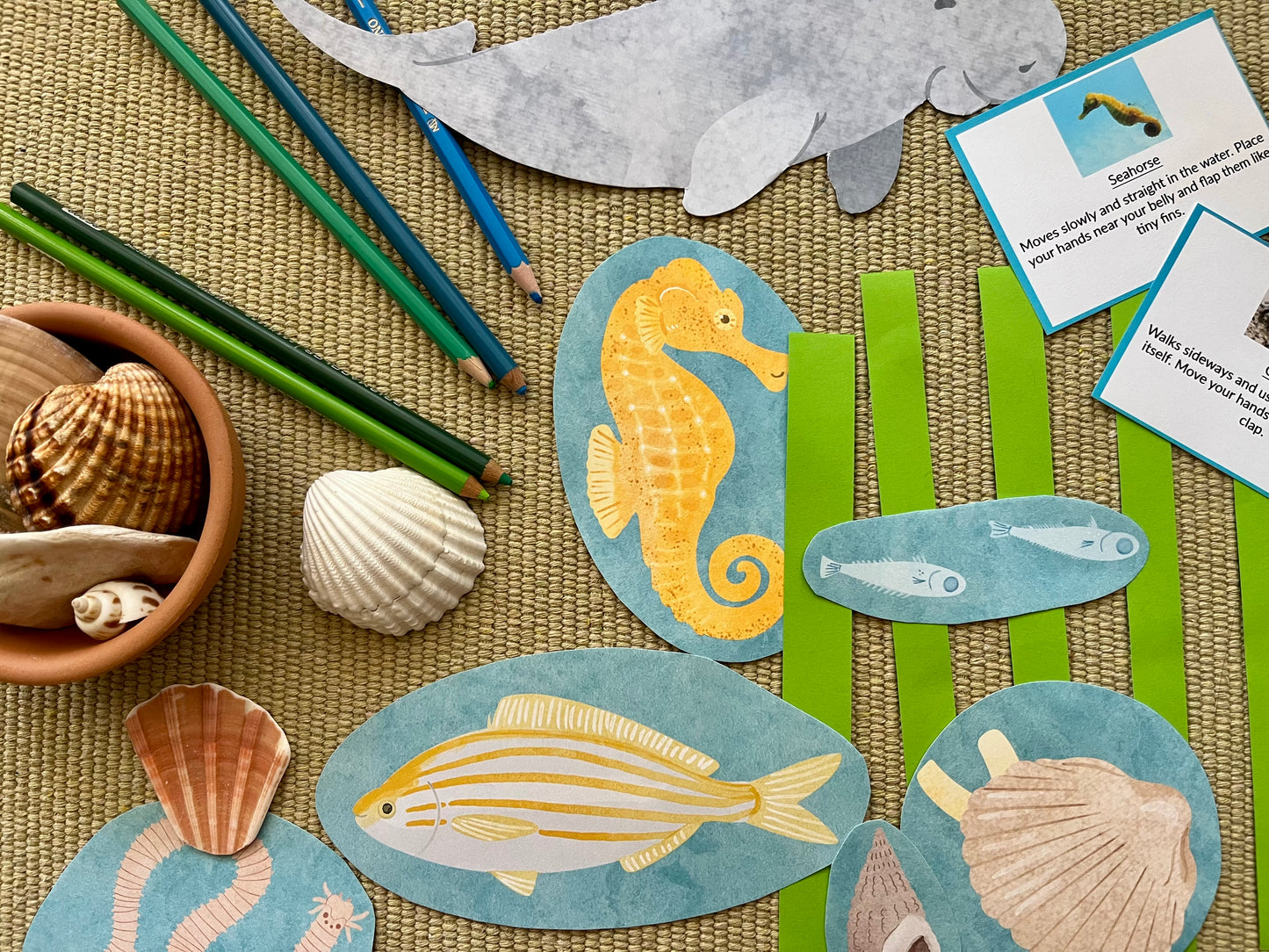 Perfectly Planned Kid´s Afternoon: Seagrass Study