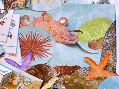 Perfectly Planned Kid´s Afternoon: Tidal pools