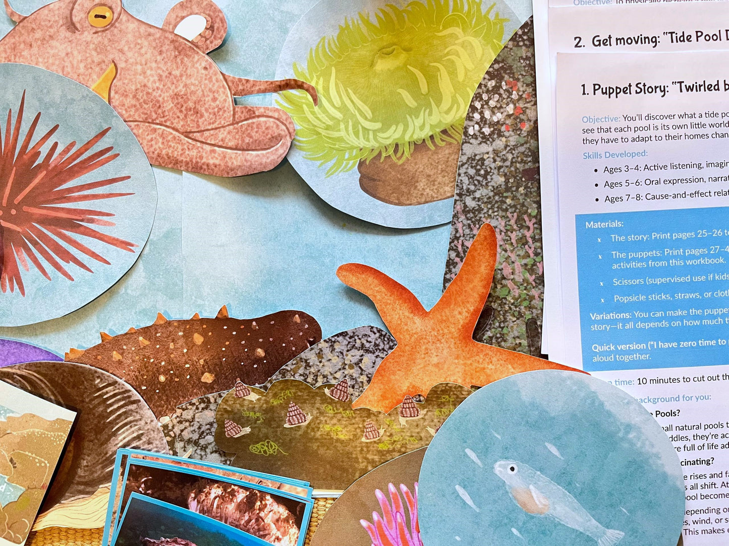 Perfectly Planned Kid´s Afternoon: Tidal pools